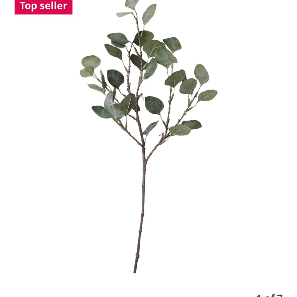 IKEA eucalyptus stems x2